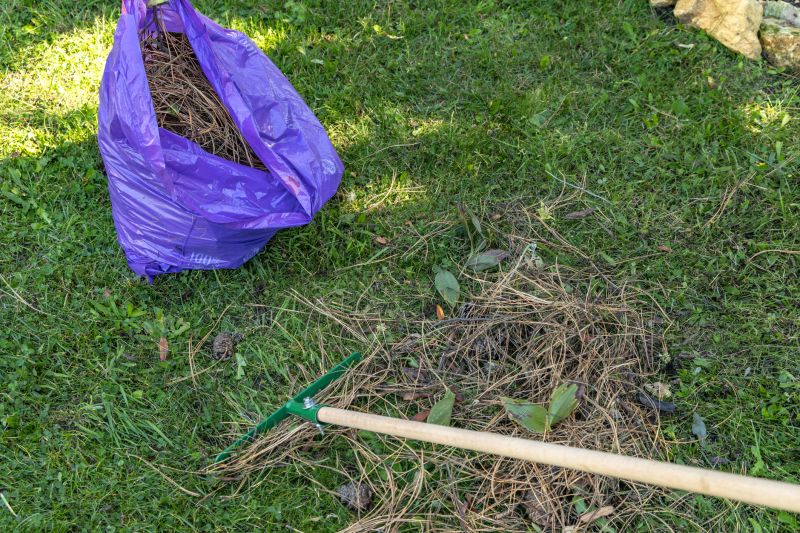 Yard Debris Removal Service