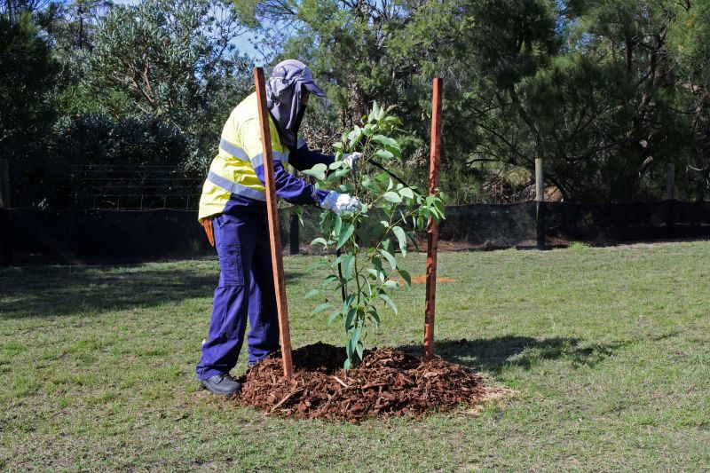 Apple Tree Planting in Ventura County, CA