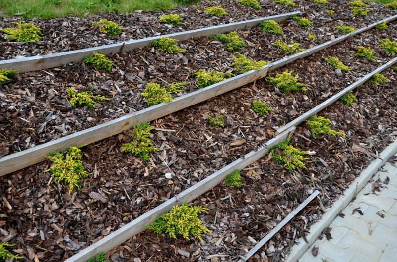Black Mulch Installation in Honolulu, HI