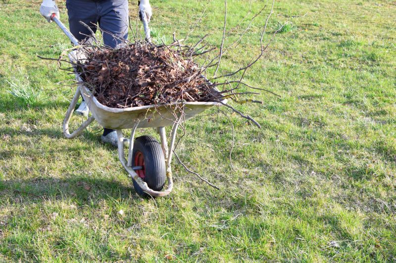 Brush Cleaning Service in Ventura County, CA