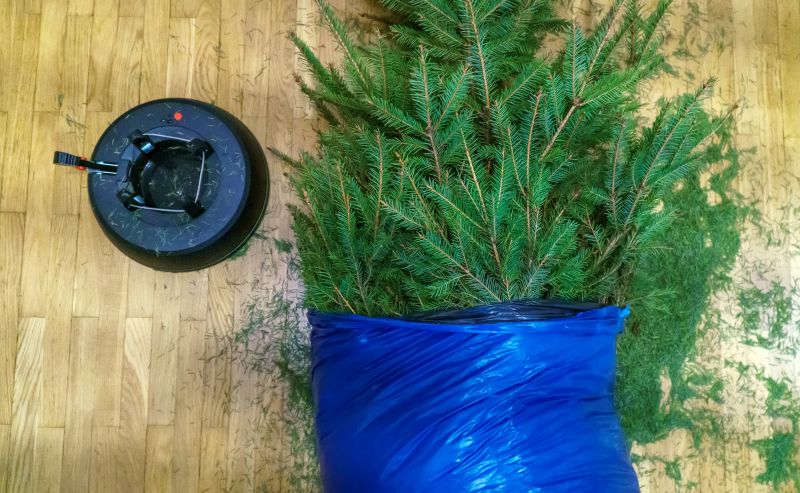 Brush Pick Up Cost — Cost of Brush Pick Up