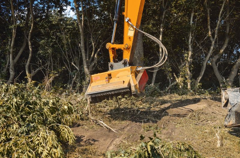 Brush Pick Up Cost — Cost of Brush Pick Up