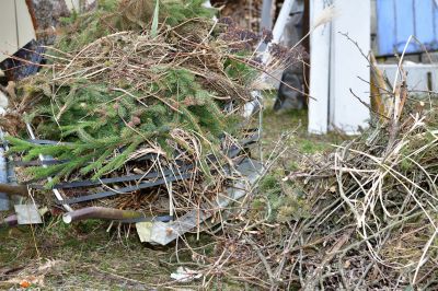 Brush Pick Up Cost — Cost of Brush Pick Up