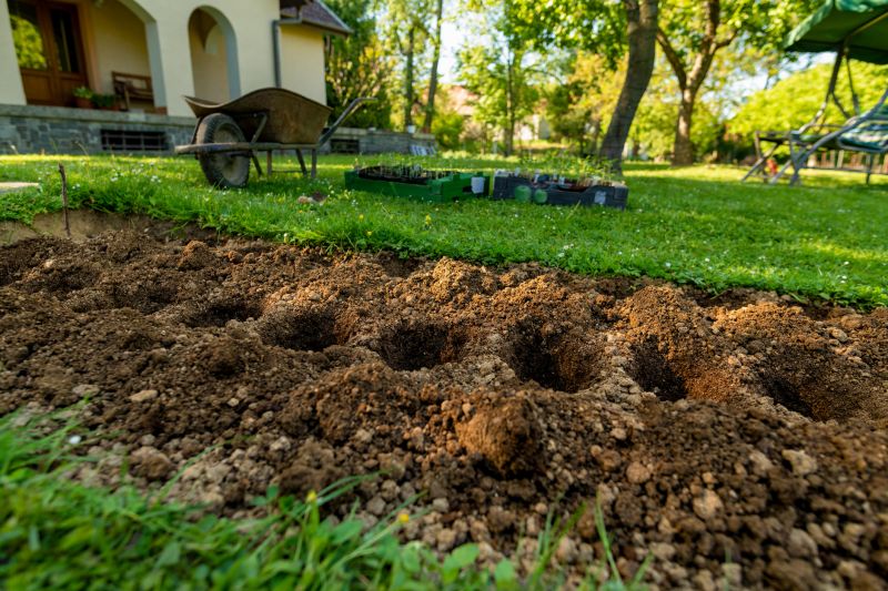 Flower Bed Cleanup Service in Honolulu, HI