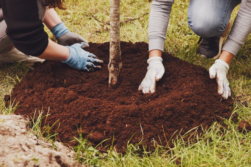 Fruit Tree Planting in Honolulu, HI