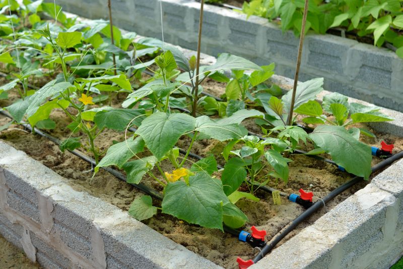 Garden Bed Construction in Ventura County, CA