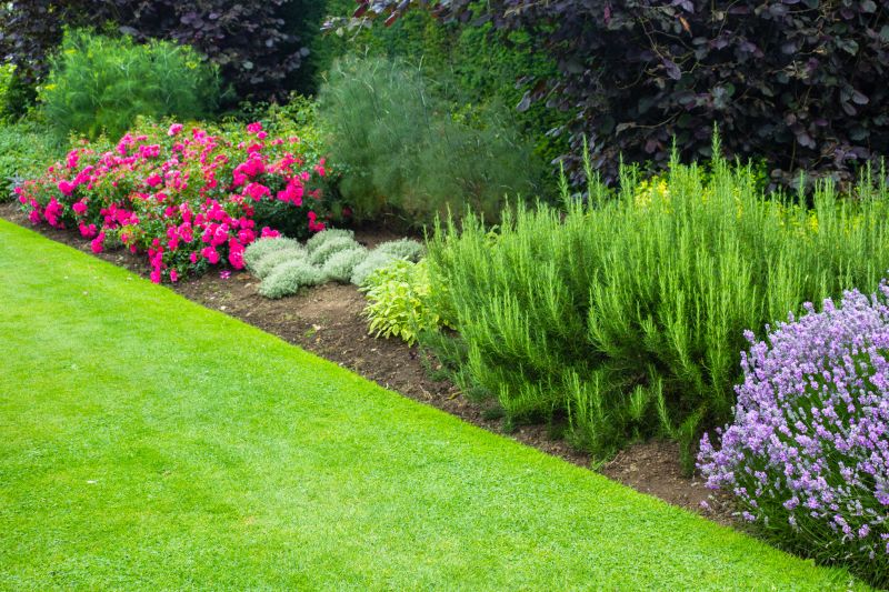 Garden Care Service in Ventura County, CA