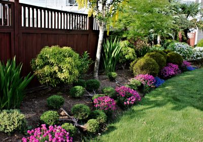 Garden Care Service in Honolulu, HI
