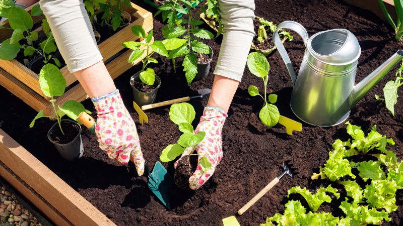 Garden Maintenance Service in Ventura County, CA