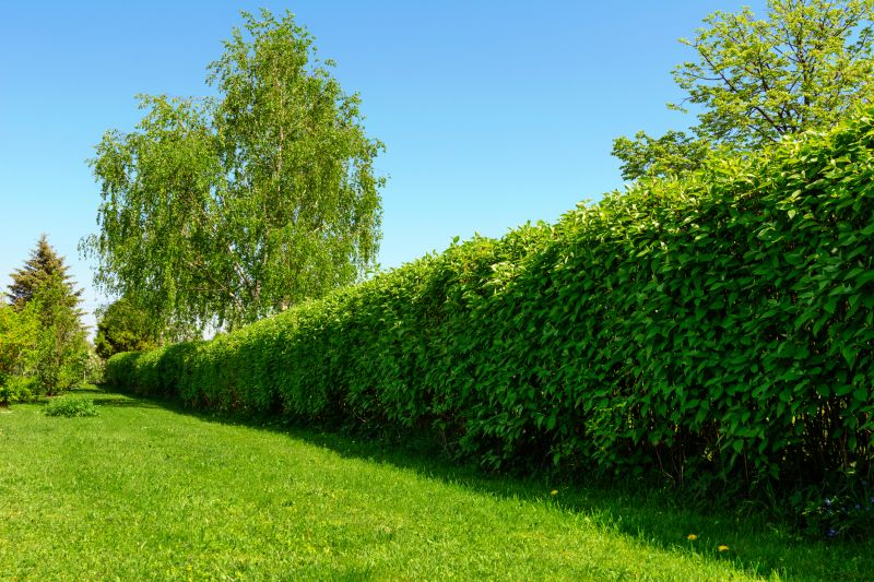 Hedge Installation in Ventura County, CA
