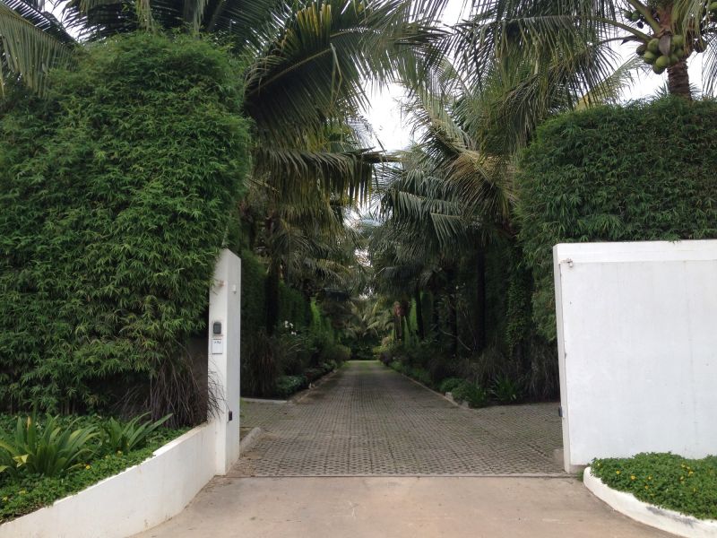 Hedge Installation in Honolulu, HI