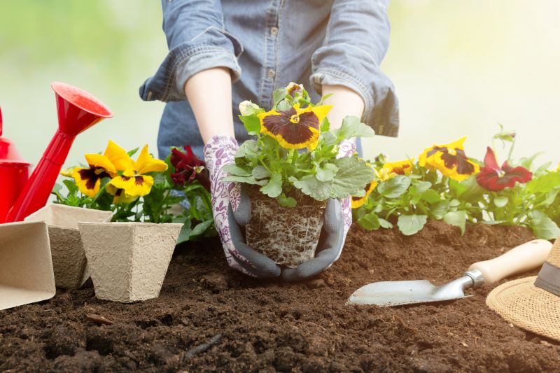 Home Gardening Service in Ventura County, CA