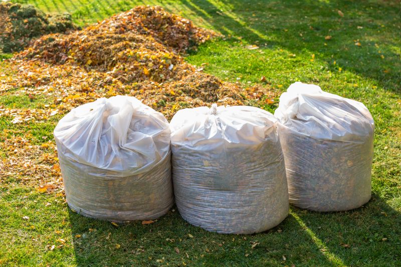Landscaping Cleanup Service in Honolulu, HI