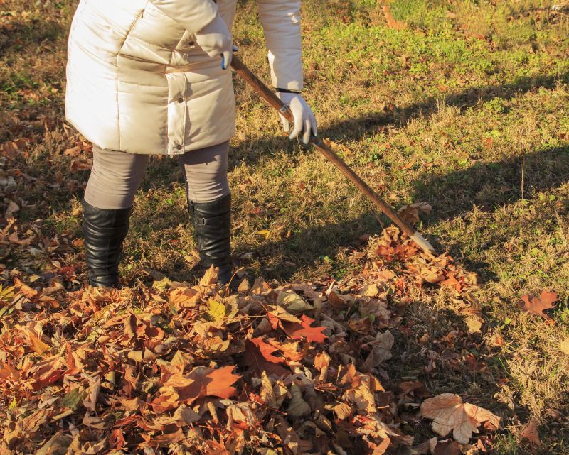 Lawn Cleanup Service in Ventura County, CA