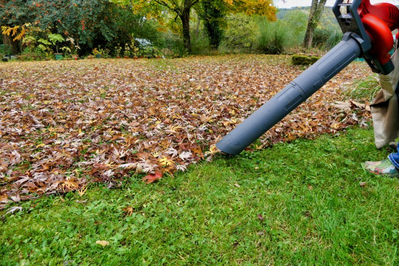 Leaf Cleanup Service in Ventura County, CA