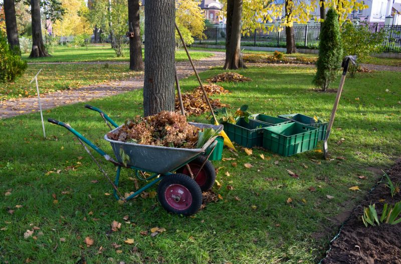 Leaf Removal in Ventura County, CA