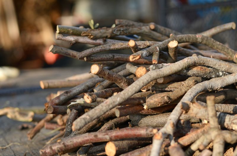 Limbs Removal in Ventura County, CA