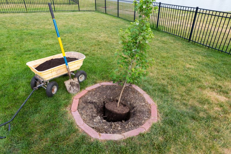 Orchard Planting in Honolulu, HI