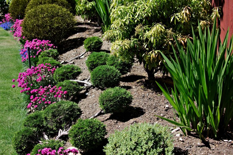Rose Bush Planting in Ventura County, CA