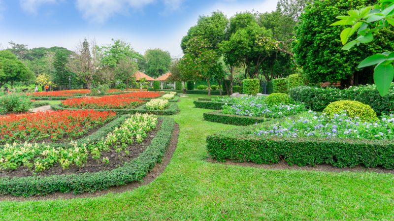 Shrub Planting Service in Honolulu, HI