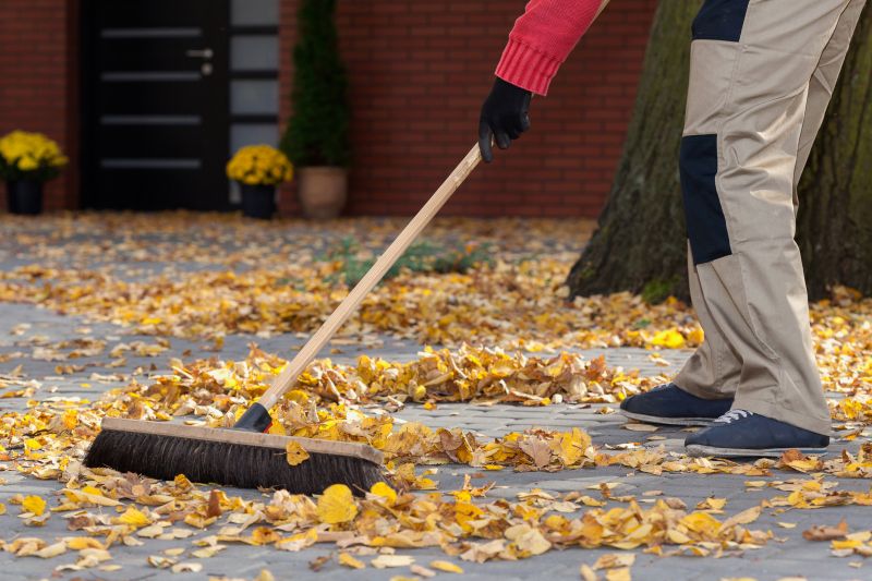 Spring Yard Cleanup in Ventura County, CA