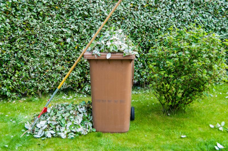 Yard Cleanup Service in Ventura County, CA