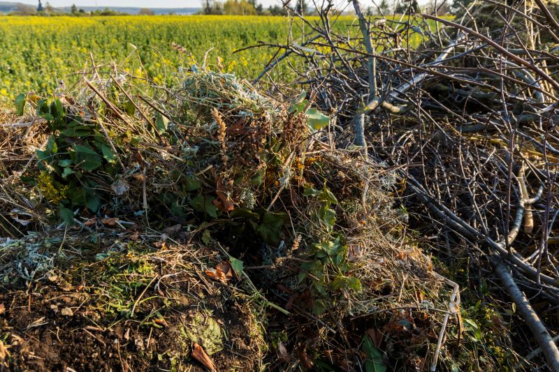 Yard Debris Removal in Ventura County, CA