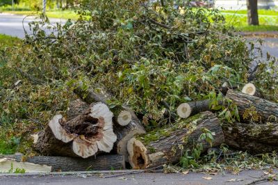 Remove Debris!