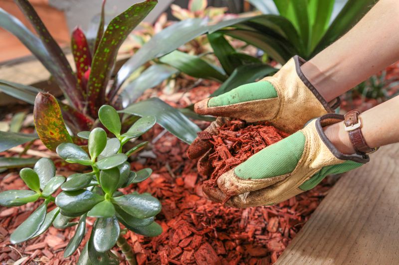 Honolulu, HI