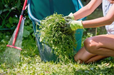 Fall Lawn Cleanup Service in Honolulu, HI