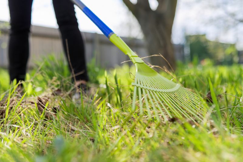 Leaf Raking Service in Ventura County, CA