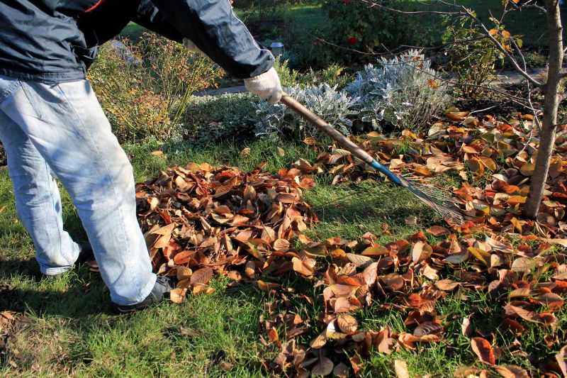 Leaf Removal in Ventura County, CA