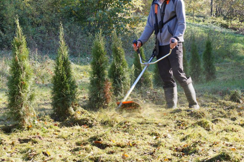 Brush Pickup Services Overview