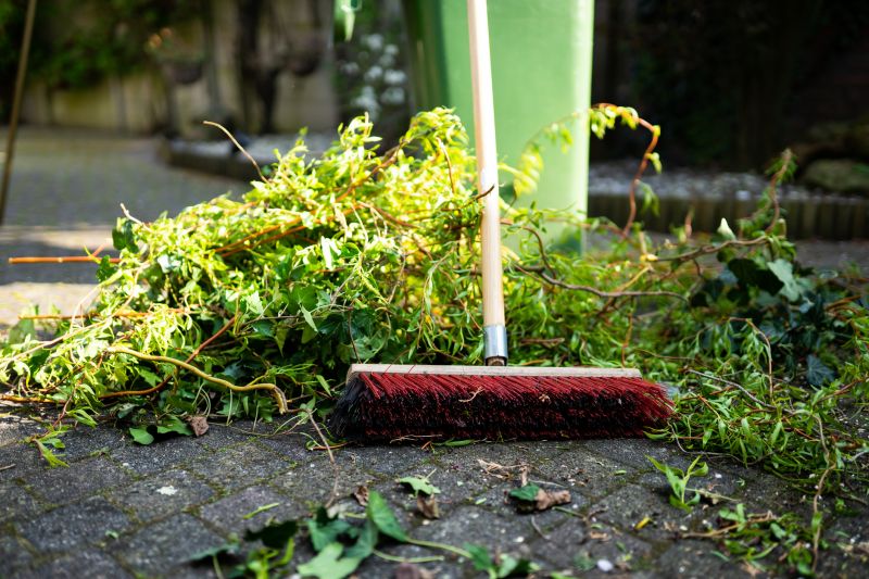 Brush Pick Up Promotions